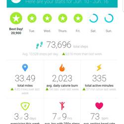 My fitbit for this week.