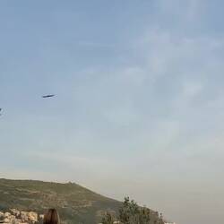 The swallows were very busy overhead.