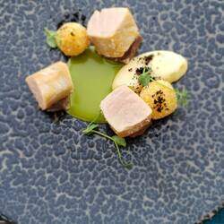 Dennis's entree: TUNA Potato & garlic cream / Veal / Green tuna sauce / Croquette