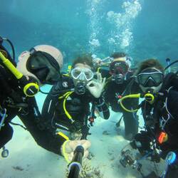 das Dive-Team 😎