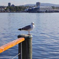 Au port du musée du Fram