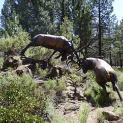 We saw many elk warning signs on the highway but these are the only 2 we saw