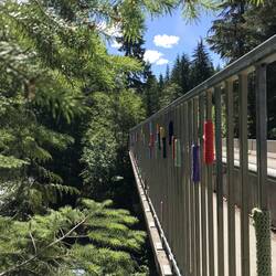 Süße Wollmäntelchen gegen Brückenfrost