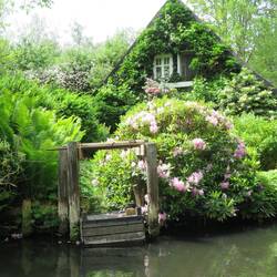 Spreewald