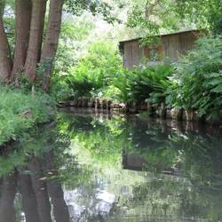 Spreewald