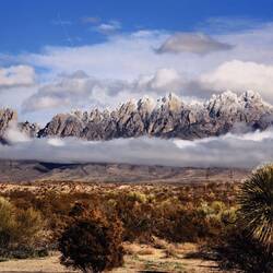Organ Mountain mit hauchdüner Schneedecke