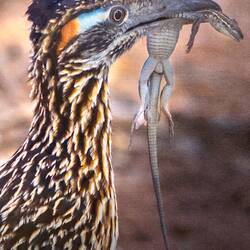 What a cool Photo - had to buy the card.