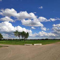 U of A Farm