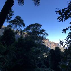 View from Scienic Walkway; Blue Mountains National Park