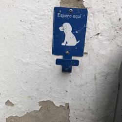 Ok, not flowers, but cute: "I wait here"