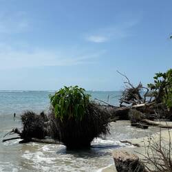 Jedes Jahr trägt das Meer mehr Sand ab... 😔