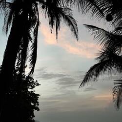 Sonnenuntergang über dem schwarzen Strand