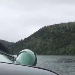 Takeoff und Landung waren butterweich!