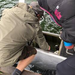 Bear-Spray muss draußen bleiben!