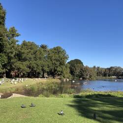 Centennial Park; Sydney