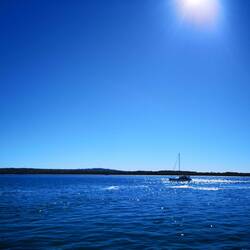 Famous Fraser Island!