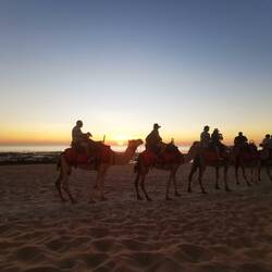 Kamel-Reiten bei Sonnenuntergang am Cable Beach für die Touristen