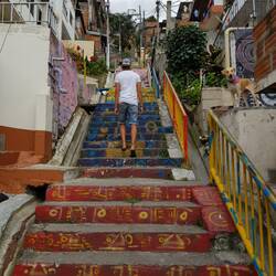 Beachten das Lächeln des Hundes