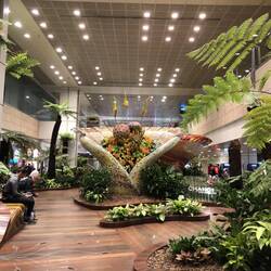 Changi Airport; Singapore