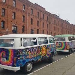 Hippiebus