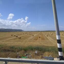 Jezreel Valley with Mt. Carmel in the distance.