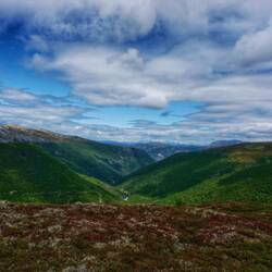 Auf 1400 Meter, kaum noch Vegetation