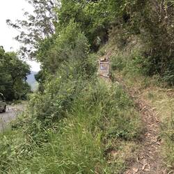 The trail NOT taken -- are you kidding? Stay on the road!