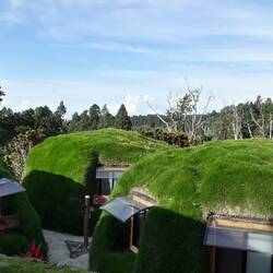 Das Auenland findet man auch in Panama 😊