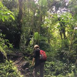 Konzentration ist bei jedem Schritt gefragt