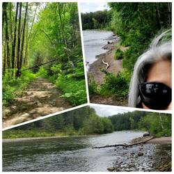 Hiking the Sandy River Trail