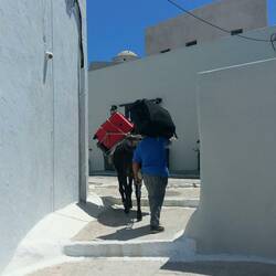 In Pirgos werden Lasten per Maulesel transportiert