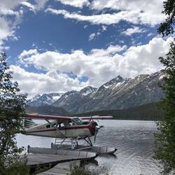 De Havilland "Beaver"