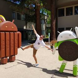 Androidmännchen