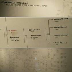 Mary made the family tree!!