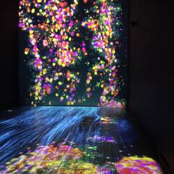 Ohne Einfluss von jeglichen Substanzen wuuunderschön.