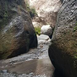 Die geheime Schlucht hinter dem Capua-Wasserfall.