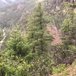 Starkes Strampeln für stärkeren Ausblick