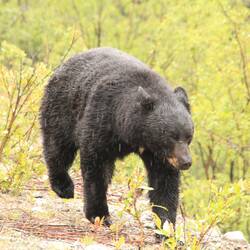 Ist genauso begeistert vom Wetter, wie wir.
