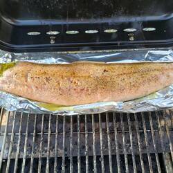 King Salmon on the Barbie