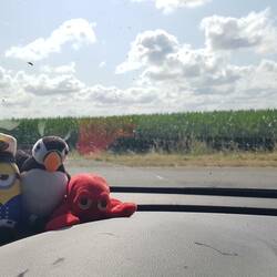Auf geht's Jungs!