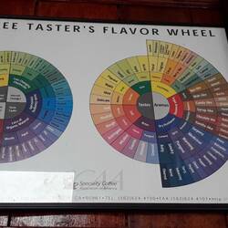 Sooo viele Begriffe für Gerüche und Geschmäcker