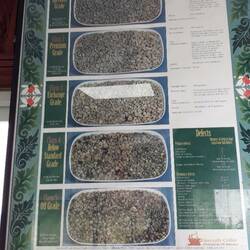 Wie man die Qualität von ungeröstetem Kaffee erkennt