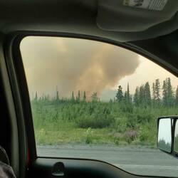 Driving through forest fire