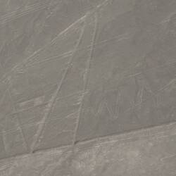 Keine Ahnung^^ Kolibri glaube ich