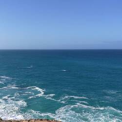 Yes, the whales are there!
