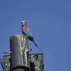 Auch kleine Tiere sind toll