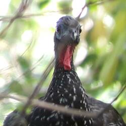 Guck nich so...! 😳😊