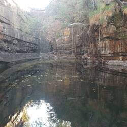The Grotto