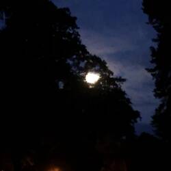 Wenigstens der Mond zeigte sich 🌔