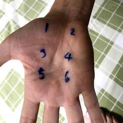 Points de pression pour activer le fonctionnement des organes